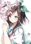  1girl bangs blue_sailor_collar blurry blurry_background blush brown_eyes brown_hair cherry_blossoms commentary_request depth_of_field flower green_ribbon grin hair_ribbon hands_up highres holding holding_flower long_hair looking_at_viewer original pentagon_(railgun_ky1206) pink_flower ribbon sailor_collar school_uniform serafuku shirt short_sleeves simple_background smile solo swept_bangs tree_branch upper_body white_background white_shirt 