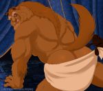 all_fours anthro beast_(disney) beauty_and_the_beast blue_eyes brown_body brown_fur butt carpet curtains disney drying drying_fur fur greeneyedwolfking hi_res looking_at_viewer looking_back male mammal monster muscular raised_tail solo towel 