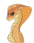  2015 belly_scales blue_eyes breasts eyebrows facial_scales featureless_breasts female looking_at_viewer markings naga narrowed_eyes non-mammal_breasts orange_body orange_scales portrait reptile sarissa_(siansaar) scale_eyebrows scales scalie serpentine siansaar simple_background smile smug snake snake_hood snout solo white_background 