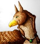  avian bird feral gabrielgryphon gryphon hi_res male mythological_avian mythology solo unknown_artist 