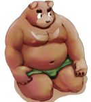  2020 anthro belly brown_body brown_fur clothing fur humanoid_hands kemono male mammal meg_hoi moobs navel nipples overweight overweight_male simple_background solo underwear ursid white_background 