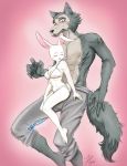  abs anthro anthro_on_anthro athletic beastars bra breasts canid canine canis cleavage clothed clothing domestic_rabbit duo dwarf_rabbit eyes_closed female fur grey_body grey_fur haru_(beastars) hi_res interspecies lagomorph larger_male legoshi_(beastars) leporid male male/female mammal oryctolagus panties predator/prey rabbit size_difference smaller_female topless underwear valwing white_body white_fur wolf 