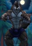  2019 abs animal_genitalia anthro brown_body brown_fur bulge canid canine chest_tuft claws clothing diaszoom fangs forest full_moon fur genitals glowing glowing_eyes hi_res looking_at_viewer male mammal moon muscular muscular_male narrowed_eyes night open_mouth pecs portrait reaching_towards_viewer sheath solo three-quarter_portrait tongue tongue_out torn_clothing tree tuft were werecanid werecanine werewolf 