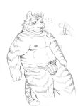  2014 absurd_res anthro belly blush bulge clothing felid genitals hi_res humanoid_hands kemono male mammal moobs nipples overweight overweight_male pantherine penis simple_background solo tiger underwear v2wolf white_background 