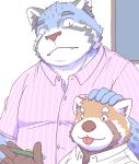  2020 ailurid anthro belly blue_body blue_fur clothing cute_fangs duo fur humanoid_hands kemono male mammal misterdonn overweight overweight_male red_body red_fur red_panda shirt tongue tongue_out topwear 