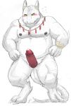  2016 anthro belly blush dragon embarrassed erection genitals hi_res kemono male nipples overweight overweight_male penis simple_background solo v2wolf white_background white_body 