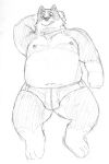  2014 absurd_res anthro belly bulge canid canine canis clothing domestic_dog hi_res kemono male mammal moobs navel nipples overweight overweight_male simple_background solo tongue tongue_out underwear v2wolf white_background 