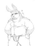  2014 anthro belly bulge clothing hi_res humanoid_hands kemono lagomorph leporid male mammal moobs navel nipples overweight overweight_male rabbit simple_background solo underwear v2wolf white_background 