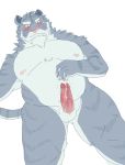  2012 anthro balls belly blush bodily_fluids cum cum_on_hand erection felid genital_fluids genitals kemono male mammal moobs nipples overweight overweight_male pantherine penis simple_background solo tiger v2wolf white_background 