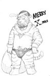  ... 2015 anthro bulge christmas clothing felid hat headgear headwear hi_res holidays kemono male mammal pantherine santa_hat slightly_chubby solo tiger underwear v2wolf 