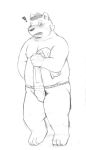 2014 absurd_res anthro asian_clothing belly blush bulge clothing east_asian_clothing fundoshi genital_outline hi_res japanese_clothing kemono male mammal moobs nipples overweight overweight_male penis_outline pubes simple_background solo underwear ursid v2wolf white_background 