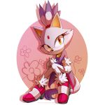  2020 absurd_res anthro blaze_the_cat clothing felid feline female footwear fur gloves hair handwear hi_res mammal ponytail solo sonic_the_hedgehog_(series) text tri-shield url video_games yellow_eyes 