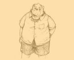  2012 anthro biped blush bottomwear clothing humanoid_hands male mammal nat10730 overweight overweight_male shirt shorts simple_background solo topwear ursid 