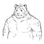  2013 anthro belly felid male mammal moobs nat10730 nipples overweight overweight_male pantherine simple_background solo tiger white_background 