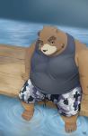  2012 anthro belly black_nose bottomwear brown_body brown_fur clothing fur male mammal nat10730 outside overweight overweight_male shirt shorts sitting solo topwear ursid water 