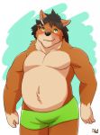  2014 anthro belly black_nose blush brown_body brown_fur bulge canid canine canis clothing domestic_dog fur green_eyes hi_res humanoid_hands male mammal moobs nat10730 overweight overweight_male solo underwear 