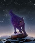  2020 4_toes ambiguous_gender canid canine canis claws detailed_background digital_media_(artwork) feral fur hi_res mammal night open_mouth outside purple_body purple_fur sky snow solo star starry_sky teeth toes tongue wolf wolf250 