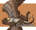  avian bird feral gabrielgryphon gryphon jenery male mythological_avian mythology solo 