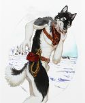  2017 action_pose alekthebeasty animal_genitalia anthro athletic belt belt_buckle belt_pouch black_body black_fur blue_eyes canid canine canis cervid countershading domestic_dog feral fur genitals harness hi_res husky looking_at_viewer male mammal mountain nordic_sled_dog nude outside pose rope running sheath snow solo_focus spitz traditional_media_(artwork) white_body white_fur 