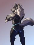  3:4 anthro balls biceps blue_eyes butt canid canine canis clothing crossed_arms genitals hi_res jockstrap looking_back male mammal muscular solaxe_(artist) solo teeth underwear wolf 
