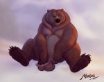 2023 anthro balls bear belly big_belly brother_bear brown_body brown_fur disney erection fur genitals hi_res male mammal moobs overweight overweight_male penis sitting solo themorghull tug_(brother_bear)