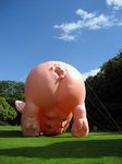  balloon float inanimate pig tagme 