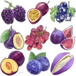  berry blackberry_(fruit) blueberry eggplant food food_focus fruit grapes highres miri_illust no_humans original simple_background white_background 