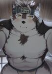 abs accessory anthro blush body_hair bottomwear bulge canid canine canis chest_hair clothing fur grey_body grey_fur headband hi_res horkeu_kamui_(tas) lifewonders loincloth looking_at_viewer looming_over male mammal muscular muscular_anthro muscular_male nipples pecs solo tokyo_afterschool_summoners wolf yellow_eyes zri_088