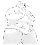 2023 anthro belly big_belly blush bulge canid canine canis clothing domestic_dog kemono male mammal moobs navel nipples overweight overweight_male simple_background solo sv_grart underwear white_background