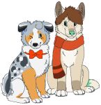 2014 aliasing alpha_channel australian_shepherd blue_eyes blue_inner_ear bluekyokitty bow_tie brown_hair brown_inner_ear brown_markings button_ears canid canine canis claws digital_drawing_(artwork) digital_media_(artwork) digitigrade domestic_dog duo eye_contact feral feral_with_hair flat_colors floppy_ears freckles full-length_portrait fur green_eyes green_markings green_nose green_pawpads grey_body grey_claws grey_fur hair herding_dog looking_at_another low_res mammal markings one_eye_closed orange_scarf pastoral_dog pawpads paws pink_pawpads portrait red_bow_tie scarf sebdoggo sheepdog simple_background sitting smile snout spots spotted_body spotted_fur tail tan_body tan_fur transparent_background wink