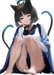  1girl absurdres animal_ears awnw barefoot black_eyes black_hair black_sailor_collar black_skirt blue_archive blue_neckerchief cat_ears cat_girl cat_tail feet gradient_tail halo haori head_rest highres japanese_clothes kikyou_(blue_archive) knees_up legs long_sleeves looking_at_viewer multiple_tails neckerchief pleated_skirt sailor_collar school_uniform serafuku short_hair simple_background sitting skirt smile solo tail toenails toes twitter_username two_tails white_background 