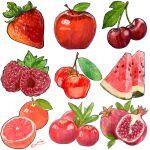  apple berry cherry food food_focus fruit highres miri_illust no_humans original pomegranate red_apple simple_background strawberry watermelon watermelon_slice white_background 