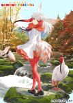  1girl animal bird bird_girl bird_tail bird_wings copyright_name feathered_wings head_wings highres jacket japanese_crested_ibis_(kemono_friends) kemono_friends kemono_friends_kingdom long_hair looking_at_viewer multicolored_hair nature official_art outdoors pantyhose red_hair shoes skirt tail two-tone_hair white_hair wings yellow_eyes 