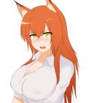  animal_humanoid big_breasts blush breasts canid canid_humanoid canine canine_humanoid cleavage clothed clothing female fox_humanoid green_eyes hair humanoid long_hair mammal mammal_humanoid nao_(artist) open_mouth orange_hair simple_background solo white_background 