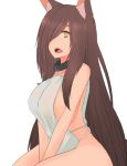  animal_humanoid big_breasts breasts brown_hair collar female hair huge_breasts humanoid nao_(artist) open_mouth simple_background solo tongue white_background 