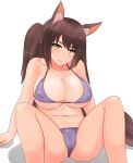  animal_humanoid big_breasts bikini blush breasts brown_hair camel_toe cleavage clothed clothing female hair humanoid looking_at_viewer nao_(artist) nipple_outline simple_background sitting solo spread_legs spreading swimwear white_background 