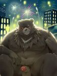 2024 anthro balls bear belly ben_(zenless_zone_zero) big_belly blush colaoaoiacquy detailed_background fireworks genitals hi_res humanoid_hands kemono male mammal mihoyo moobs navel night outside overweight overweight_male penis scar solo zenless_zone_zero