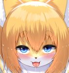 2023 anthro blonde_hair blue_eyes blush bodily_fluids canid canine cropped cute_fangs digital_media_(artwork) female female_anthro fluffy fox fur hair half-closed_eyes horokusa0519 inner_ear_fluff kemono looking_at_viewer mammal narrowed_eyes naughty_face neck_tuft nio_(horokusa) saliva solo tongue tongue_out tuft white_body white_fur yellow_body yellow_fur