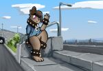 anthro bear clothing collar cuff_bracelet day female hi_res mammal outside ragingpacifist shirt solo street_lamp t-shirt topwear