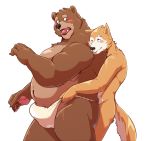  2020 anthro asian_clothing belly black_nose blush brown_body brown_fur bulge canid canine clothing duo east_asian_clothing fundoshi fur hi_res japanese_clothing jumperbear kemono male male/male mammal navel one_eye_closed overweight overweight_male simple_background underwear ursid white_background wink 