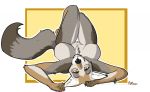  2020 anthro big_breasts black_nose breasts brown_body brown_fur canid canine canis casual_exposure casual_nudity clitoris coyote cute_fangs digital_media_(artwork) ear_tuft female fluffy fluffy_tail fur genitals grass grey_body grey_fur happy head_markings head_tuft legs_closed legs_up looking_at_viewer lying mammal markings nude on_back outline plaguedoctorprincess pussy raised_arm simple_background smile solo tuft white_body white_fur yellow_background yellow_body yellow_eyes yellow_fur 