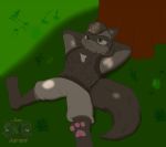  anthro black_hair canid chaoticbiscuit fan_character fluffy fluffy_chest fluffy_tail foxboy591 grass green_eyes hair hybrid lucario male mammal multicolored_body nintendo pok&eacute;mon pok&eacute;mon_(species) relaxing resting solo stevo(lucario) stevofurry tree two_tone_body video_games 