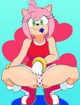  absurd_res amy_rose anthro eulipotyphlan female hedgehog hi_res mammal solo sonic_the_hedgehog_(series) 