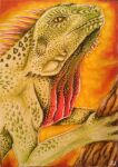 aceo ambiguous_gender branch climbing_tree feral iguana_(genus) iguanid lizard low_res orange_background orange_body orange_scales orange_spines reptile scales scalie selianth simple_background solo yellow_body yellow_eyes yellow_scales