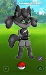  anthro black_hair blush canid chaoticbiscuit chibi crossed_arms fan_character fluffy fluffy_chest fluffy_tail green_eyes hair hybrid lucario lucario(stevo) male mammal multicolored_body nintendo pok&eacute;ball pok&eacute;mon pok&eacute;mon_(species) pok&eacute;mon_go psychofoxpickle solo stevofurry techsupportgirls two_tone_body video_games 