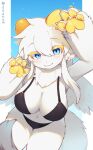 anthro big_breasts bikini blue_eyes breasts cleavage clothed clothing dndnkm female fur hi_res looking_at_viewer navel neck_tuft pawpads paws solo swimwear tuft unknown_species white_body white_fur