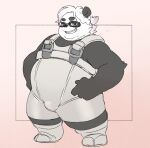2024 anthro bear biped bulge clothing eyewear giant_panda glasses inunoshippo kemono male mammal overweight overweight_male shirt simple_background solo suspenders topwear