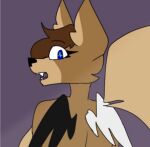 anthro blue brown_body canid canine cropped eyes_closed female female/female fox gasp mammal surprise suspicious unknown_artist unknown_character wings