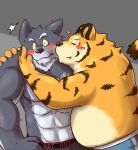  &lt;3 2015 anthro barazoku belly blush canid canine canis clothing duo felid hi_res hug humanoid_hands kemono kissing male male/male mammal muscular overweight overweight_male pantherine simple_background tiger underwear wdh3905 wolf 
