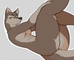  2020 aleu anthro anthrofied balto_(film) breasts brown_body brown_fur butt canid canine canis danonymous domestic_dog female fur grey_background hi_res hybrid looking_at_viewer mammal nude simple_background smile solo thick_thighs wolf 